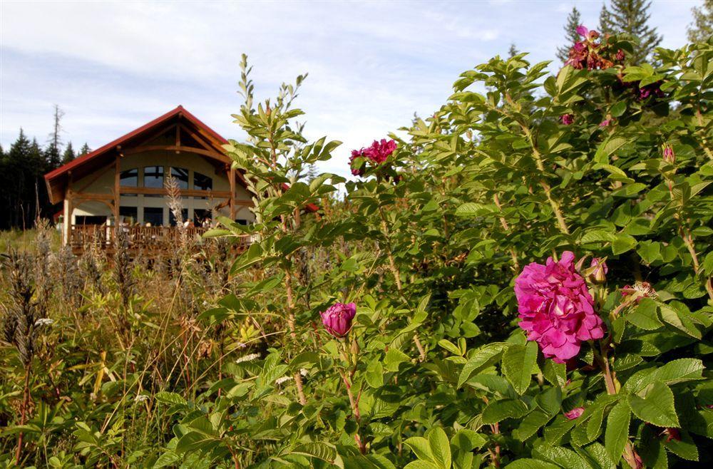 Heather Mountain Lodge Rogers Pass ภายนอก รูปภาพ